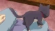 Doukyonin wa Hiza, Tokidoki, Atama no Ue. - Episodio 11