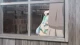 Arifureta Shokugyou de Sekai Saikyou - Episodio 11