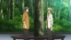 Try Knights - Episodio 10