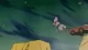 Rave Master - Episodio 49
