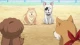 Oda Cinnamon Nobunaga - Episodio 8