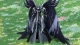 Saint Seiya: The Hades Chapter - Elysion - Episodio 4