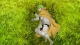 Honzuki no Gekokujou: Shisho ni Naru Tame ni wa Shudan wo Erandeiraremasen 2nd Season - Episodio 12