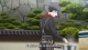 Shokugeki no Souma: Gou no Sara - Episodio 11
