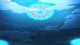 Digimon Ghost Game - Episodio 65