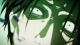 Sankaku Mado no Sotogawa wa Yoru - Episodio 11