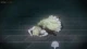 Shinka no Mi: Shiranai Uchi ni Kachigumi Jinsei - Episodio 10