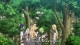 Warau Arsnotoria Sun! - Episodio 11