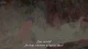 Made in Abyss: Retsujitsu no Ougonkyou - Episodio 10