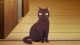 Koori Zokusei Danshi to Cool na Douryou Joshi - Episodio 11