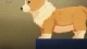 Inu ni Nattara Suki na Hito ni Hirowareta. - Episodio 13