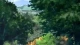 Code-E - Episodio 12