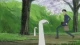 xxxHOLiC - Episodio 24