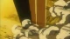 Slayers Return - Episodio 1