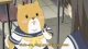 Shiba Inuko-san - Episodio 25