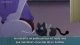 Sankarea - Episodio 15
