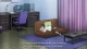 Kokoro Connect - Episodio 11