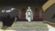 Campione! - Episodio 10