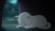 Gintama': Enchousen - Episodio 24