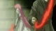 Magical Girl Lyrical Nanoha StrikerS - Episodio 25